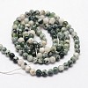 Natural Tree Agate Beads Strands X-G-N0192-01-3mm-2