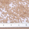 MIYUKI Round Rocailles Beads X-SEED-G007-RR2370-4