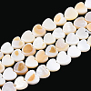 4 Strands Natural Freshwater Shell Beads Strands SHEL-PA0001-06-1