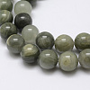 Natural Green Line Jasper Beads Strands G-G735-55-8mm-1