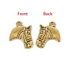 Tibetan Style Alloy Pendants LS-GLF10908Y-NF-2
