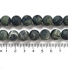 Natural Kambaba Jasper Beads Strands G-F520-53-12mm-2