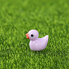 Mini Duck Resin Display Decorations FIND-SZC0013-354-1