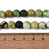 Natural Serpentine Beads Strands G-Q616-07C-5