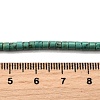 Natural Howlite Beads Strands G-F791-A01-5