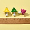 10Pcs Resin Pendants RESI-FS0001-62-4