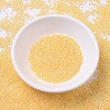 MIYUKI Delica Beads SEED-X0054-DB0233-2