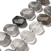 Natural Cloudy Quartz Beads Strands G-H078-B17-01-1