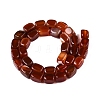 Natural Red Agate(Dyed & Heated) Beads Strands G-T138-104-2