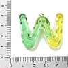 Resin Pendant FIND-Q107-01W-02-3