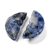 Natural Blue Spot Jasper Butterfly Wing Cabochons G-D078-02C-2