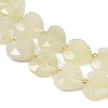 Natural Lemon Quartz(Heated) Beads Strands G-P592-B04-01-4