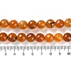 Natural Agate Beads Strands G-M437-B01-01L-5