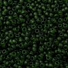 MIYUKI Round Rocailles Beads SEED-X0055-RR0158F-3