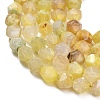Natural Agate(Dyed & Heated) Beads Strands G-K425-B02-01-3