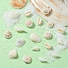 48Pcs 4 Styles Natural Shell Beads BSHE-YW0001-06-5