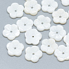 Freshwater Shell Beads SHEL-S275-032-1