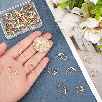 50Pcs Brass Leverback Earring Findings KK-BBC0003-68-1