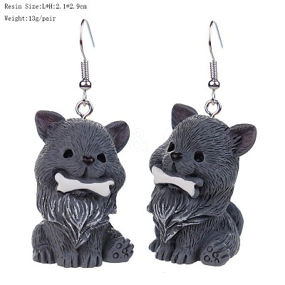Iron & Resin Dangle Earrings for Women WG4B27B-05-1