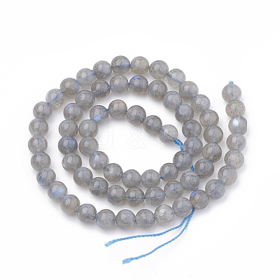 Natural Labradorite Beads Strands G-T064-70A-1