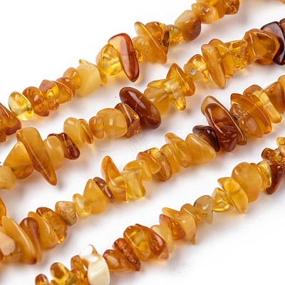 Natural Amber Chip Beads Strands X-G-E271-81-1