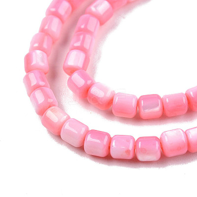 Natural Freshwater Shell Beads Strands X-SHEL-N003-33-A09-1