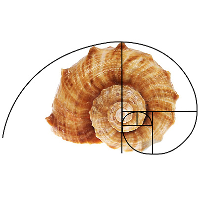 2Pcs 2 Styles Golden Ratio Plastic Fibonacci Composition View Finder AJEW-DR0001-86-1