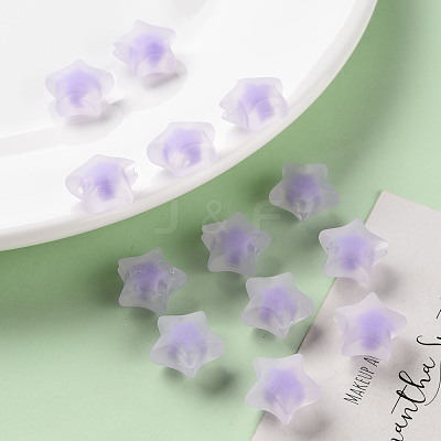 Transparent Acrylic Beads TACR-S152-02C-SS2114-1