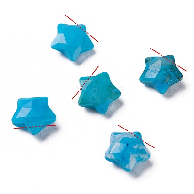 Natural Howlite Charms X-G-H241-04E-1