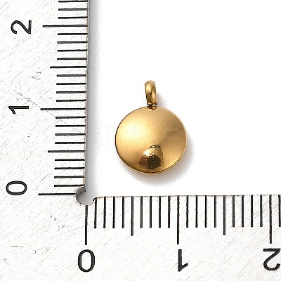 304 Stainless Steel Black Enamel Charms STAS-R009-02G-12-1