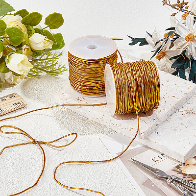 2 Rolls Polyester Metallic Elastic Round Cord OCOR-CY0003-50A-1