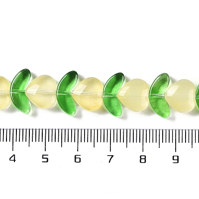 Transparent Glass Beads Strands GLAA-B021-04F-1