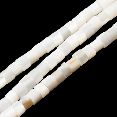 Natural Freshwater Shell Beads Strands SHEL-K006-07-1