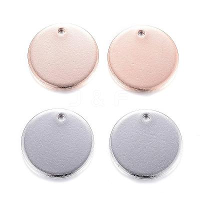 304 Stainless Steel Charms STAS-G122-23-1