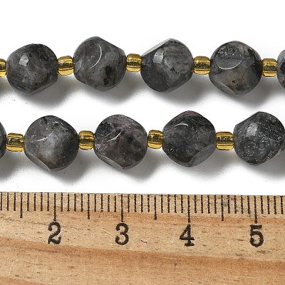 Natural Larvikite Beads Strands G-K387-A02-02-1