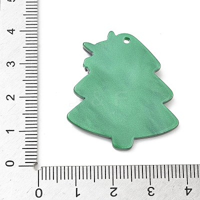 Acrylic Pendants LS-OACR-D322-01A-1