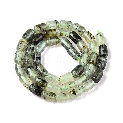 Natural Prehnite Beads Strands G-G980-45-1