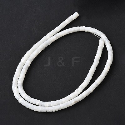 Natural Freshwater Shell Beads Strands SSHEL-C013-04B-1