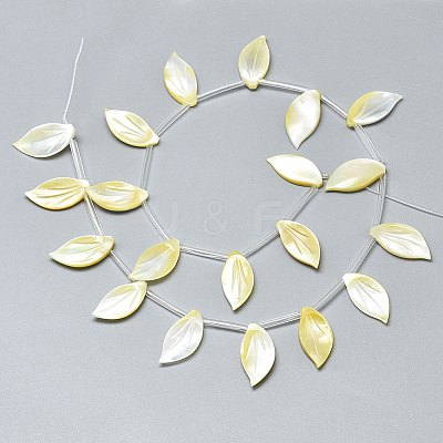 Natural Yellow Shell Pendants SSHEL-N036-022-1
