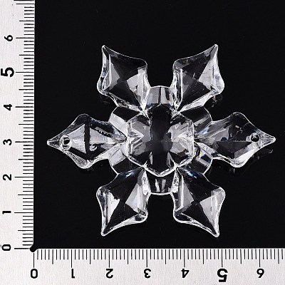 Transparent Acrylic Connector Charms TACR-T028-03A-1