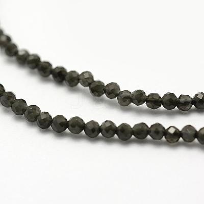 Natural Obsidian Beads Strands G-F507-02-1