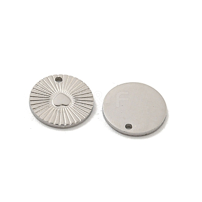 Non-Tarnish 304 Stainless Steel Charms STAS-P356-10P-1