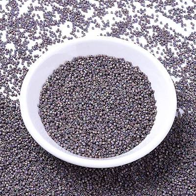 MIYUKI Delica Beads X-SEED-J020-DB1067-1