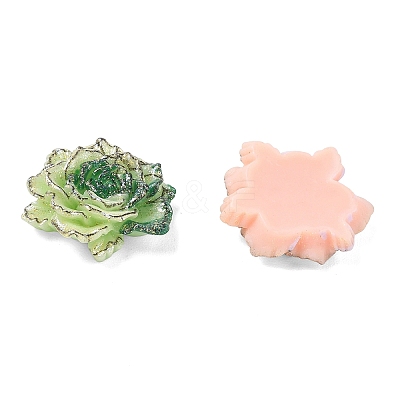 Opaque Resin & Glitter Powder Cabochons RE-CBA240F-02-1