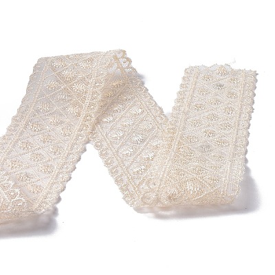 10 Yards Polyester Lace Trim Ribbon OCOR-C004-06D-1