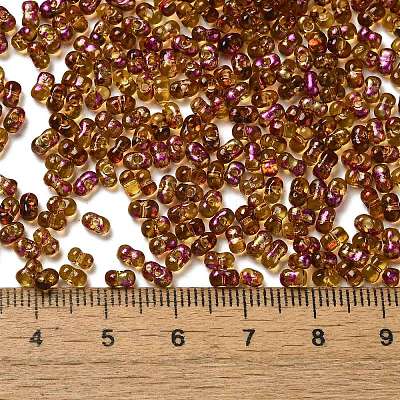Spray Painted Glass Seed Beads SEED-F005-03A-03-1