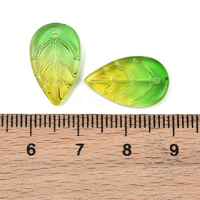 Transparent Glass Pendants GLAA-H016-08H-10-1