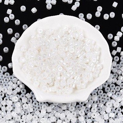 Glass Seed Beads SEED-T008-01A-1