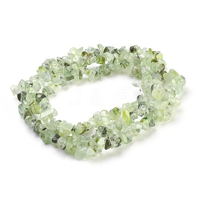 Natural Prehnite Beads Strands G-F575-16-1