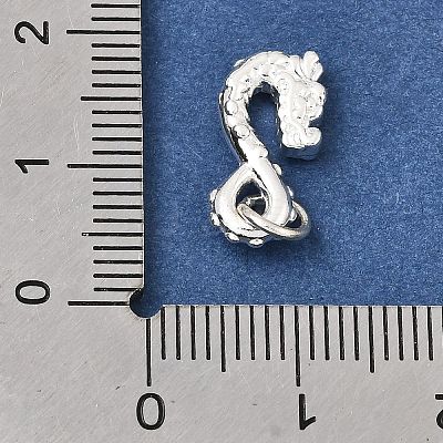 Brass Hooks KK-CBA0DF0-19A-S-1